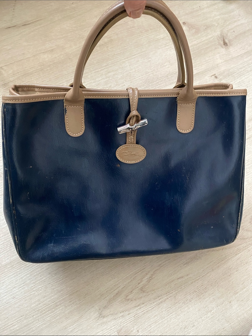 Longchamp Tote Roseau Satchel Handbag with Toggle Closure